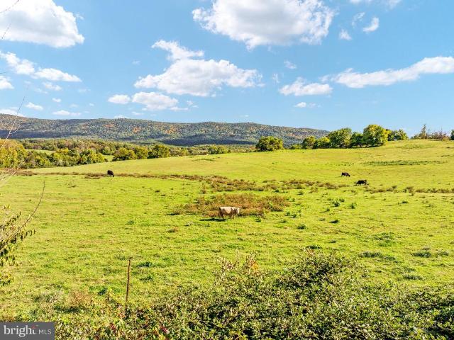 Land for sale in Mount Jackson, Shenandoah County