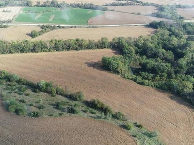 Land for sale in Gravity, Iowa