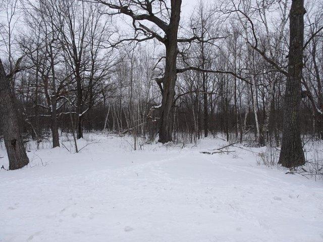 Land for sale in Milltown, Wisconsin