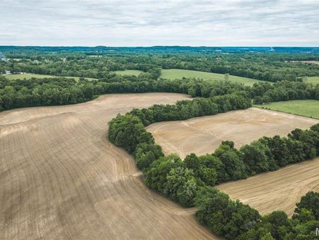 Farm for sale in Newllano, Missouri