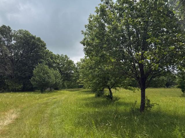 Land for sale in Missouri