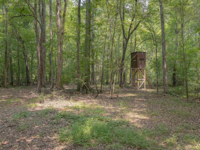 House for sale in Florence, Alabama
