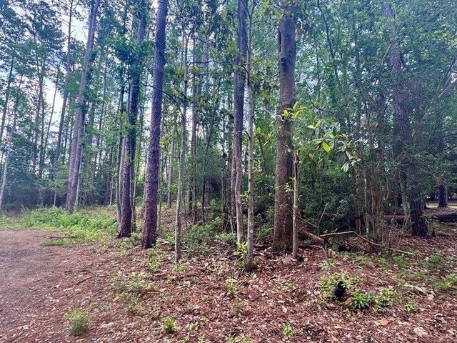 Land for sale in Thomasville, Georgia