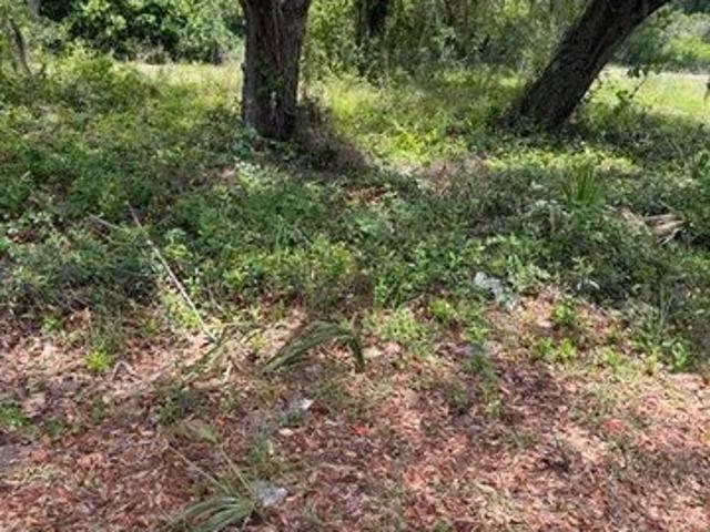 Land for sale in Eustis, Florida