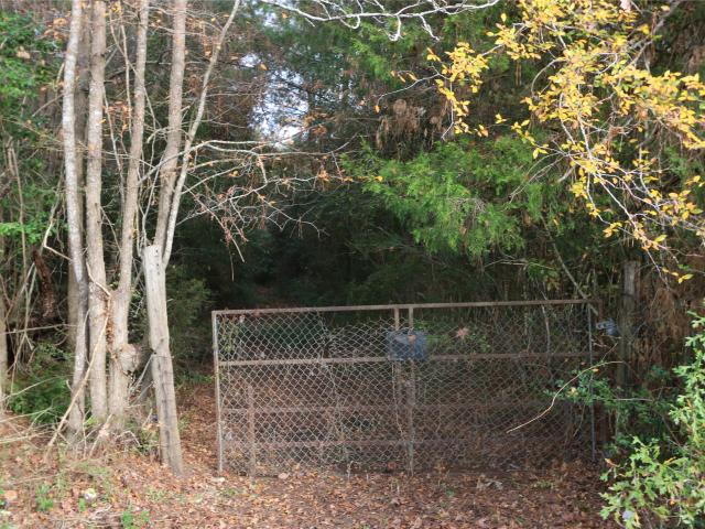 Land for sale in Newton, Texas