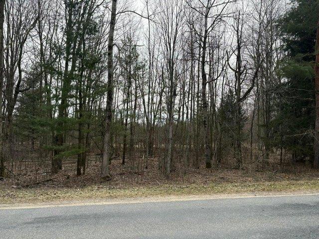 Land for sale in Kent City, Michigan