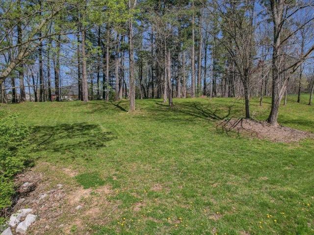Land for sale in Princeton, Gibson County