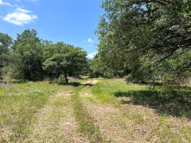 Land for sale in Lyons, Texas