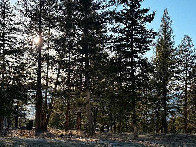Land for sale in Cranbrook, British Columbia