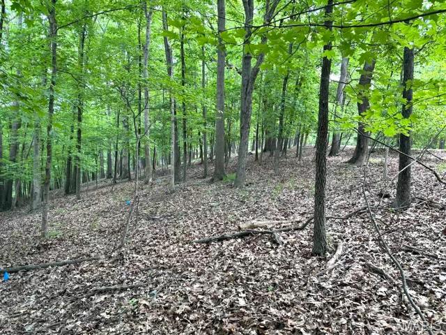 Land for sale in Glencoe, Missouri