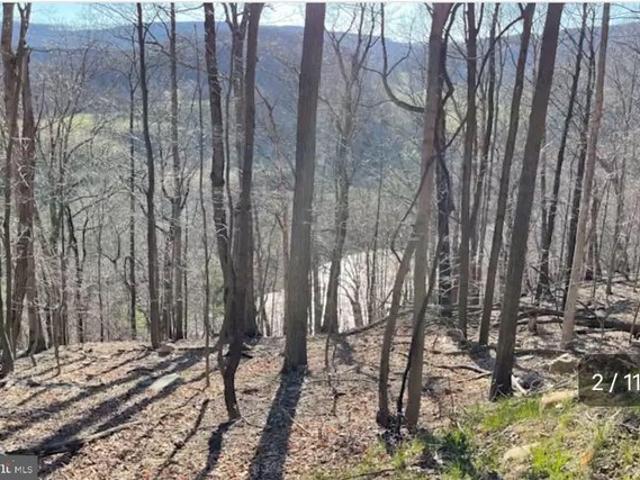 Land for sale in Keyser, West Virginia