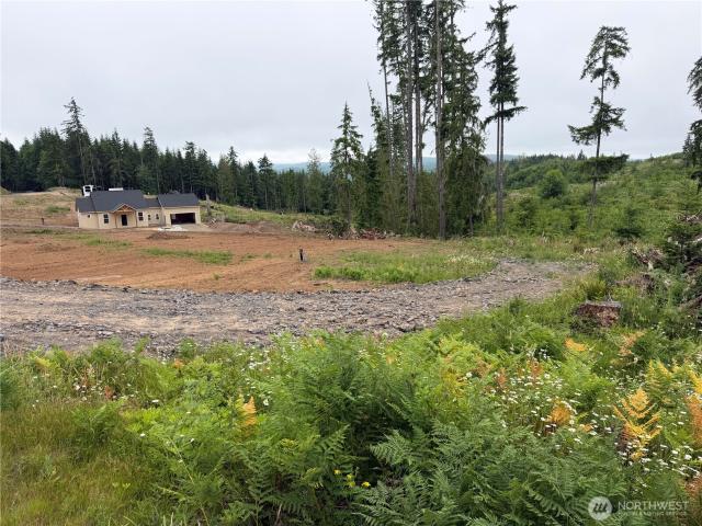 Land for sale in Castle Rock, Washington