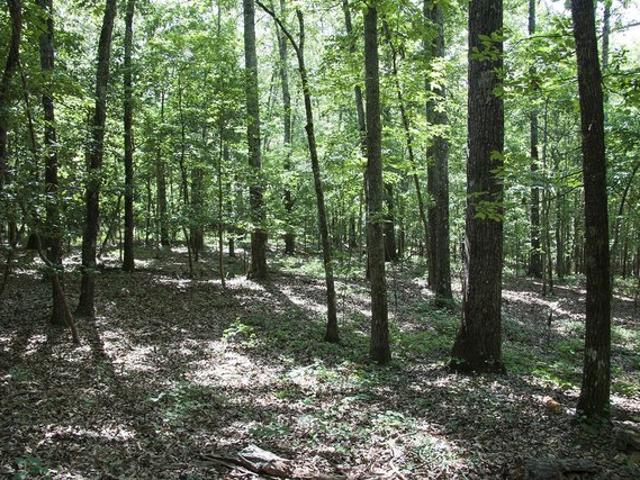 Land for sale in Hephzibah, Georgia