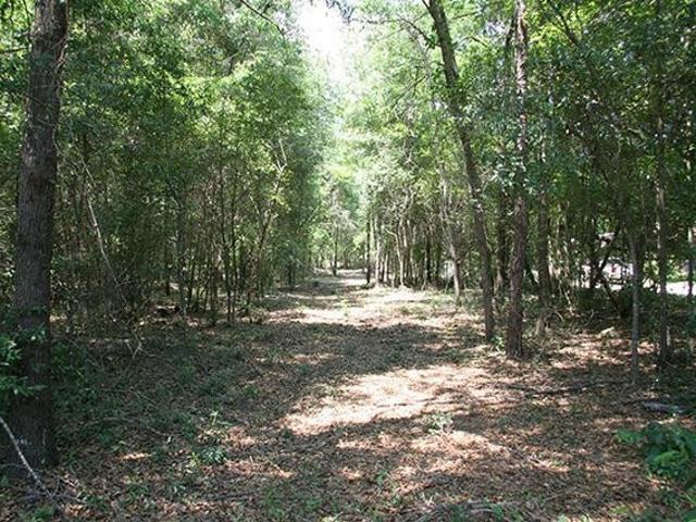 Land for sale in Hephzibah, Georgia