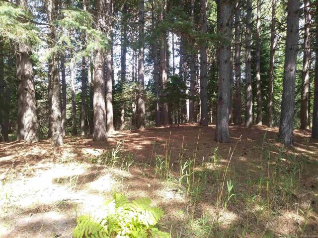 Land for sale in Michigan