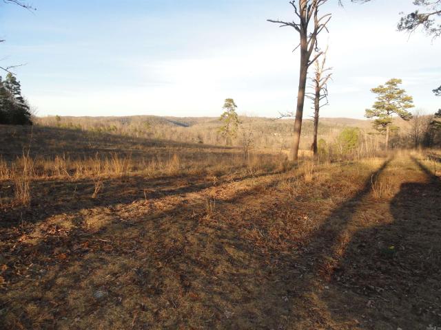 Land for sale in Ark