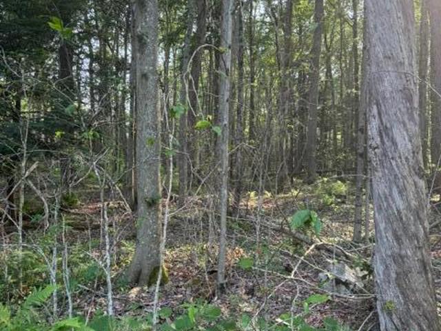 Land for sale in Blakeslee, Pennsylvania
