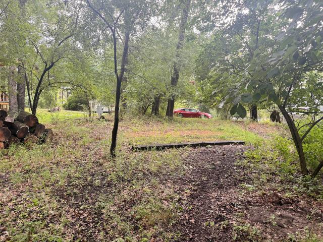 Land for sale in Sublette, Lee County