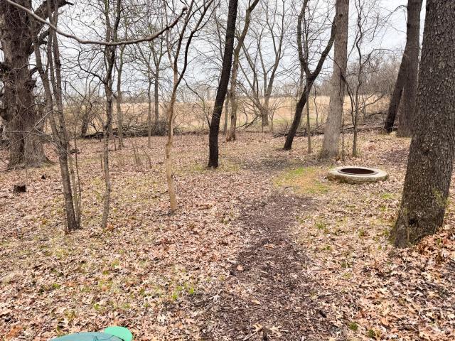Land for sale in Sublette, Illinois