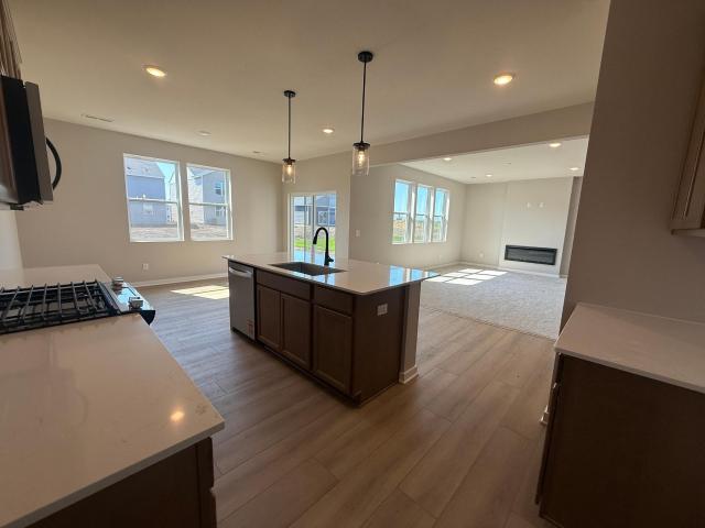 House for sale in Rosemount, Minnesota
