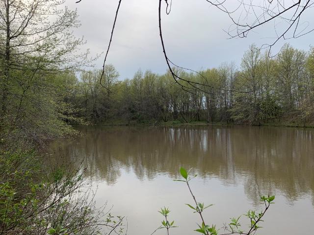 Land for sale in Downing, Missouri