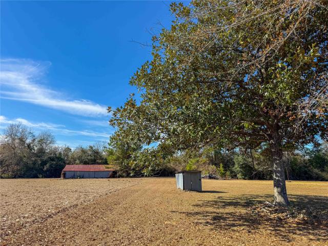 Land for sale in Fred, Texas