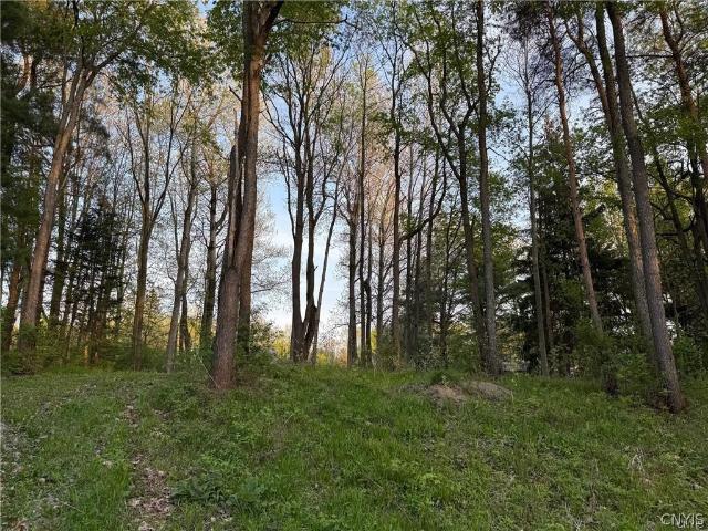 Land for sale in Cape Vincent, New York