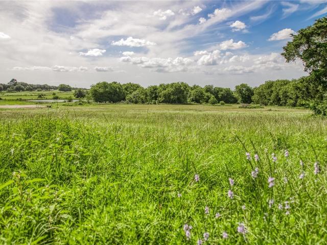 Land for sale in Chappell Hill, Texas