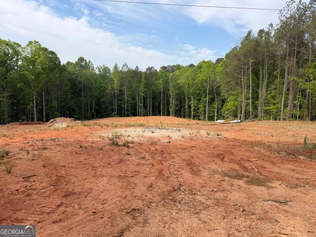 Land for sale in Forsyth, Georgia