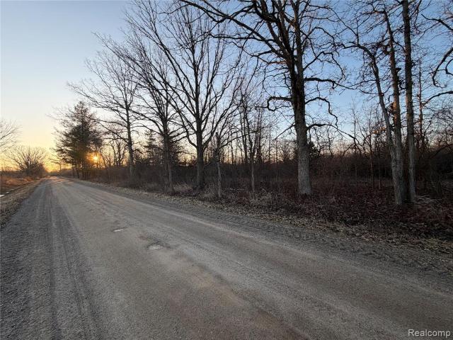 Land for sale in Brown City, Michigan