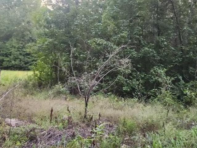 Land for sale in Ark