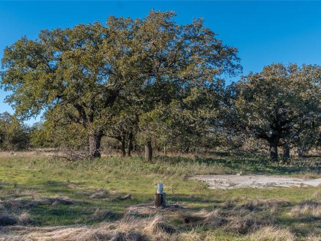 Land for sale in Texas