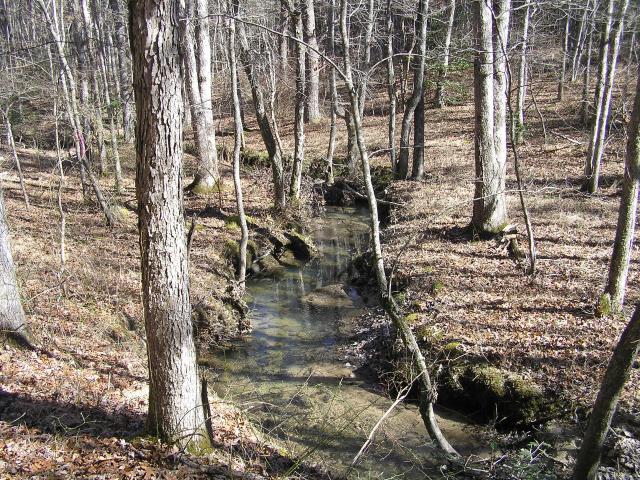 Land for sale in Tennessee