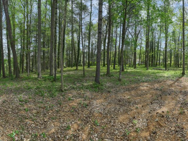 Land for sale in Tennessee