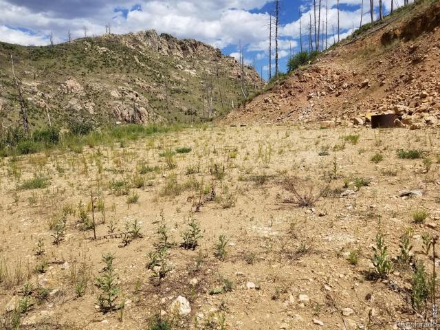 Land for sale in Livermore, Colorado