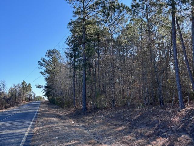 Land for sale in Kite, Georgia