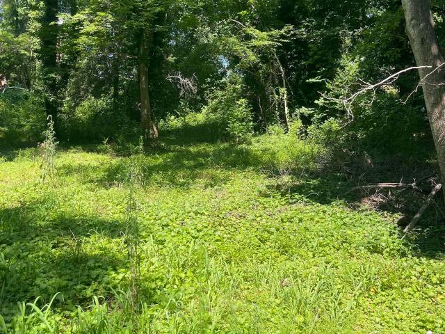 Land for sale in Boiling Springs, South Carolina