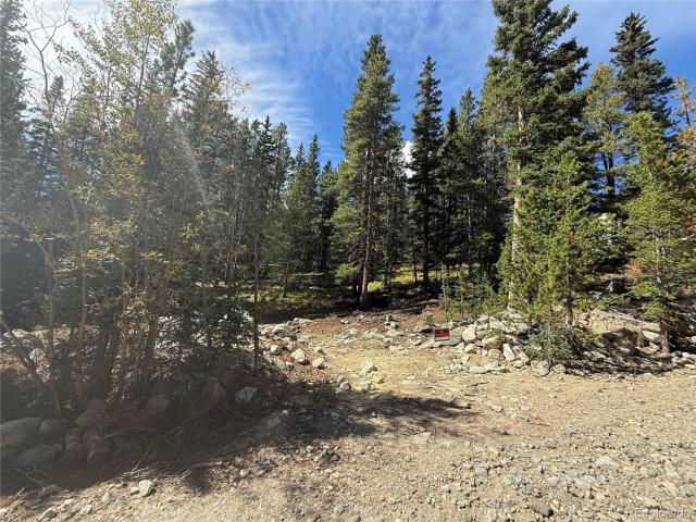 Land for sale in Clear Creek, Colorado