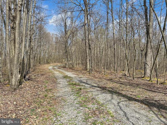Land for sale in Garrett, Maryland