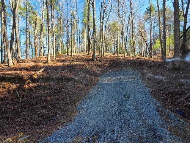 Land for sale in Gilmer, Georgia