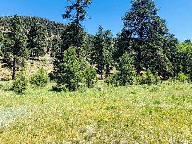 Land for sale in Antonito, Conejos County