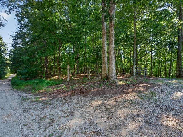 Land for sale in Tennessee
