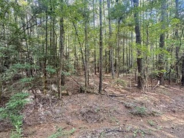 Land for sale in Sabine, Texas