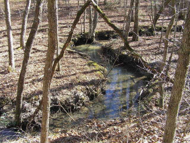 Land for sale in Tennessee