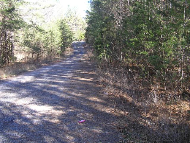 Land for sale in Spencer, Middle Tennessee