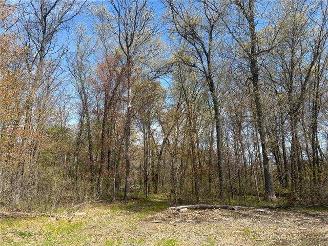 Land for sale in Princeton, Minnesota