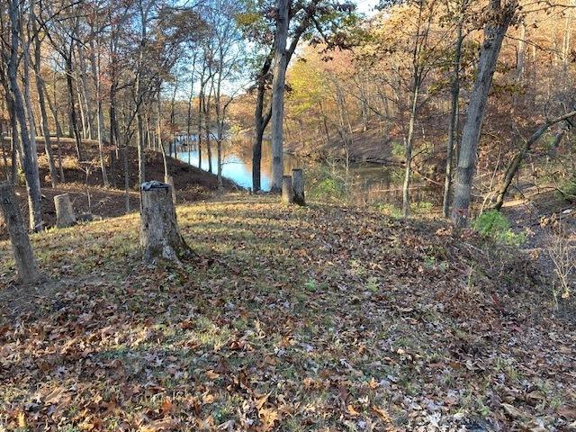 Land for sale in Effingham, Effingham County