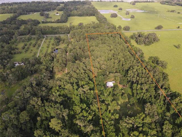 Land for sale in Micanopy, Florida