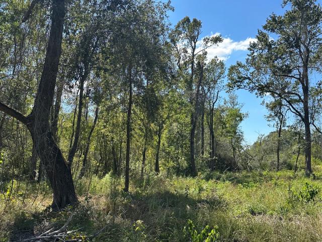 Land for sale in Liberty, Texas