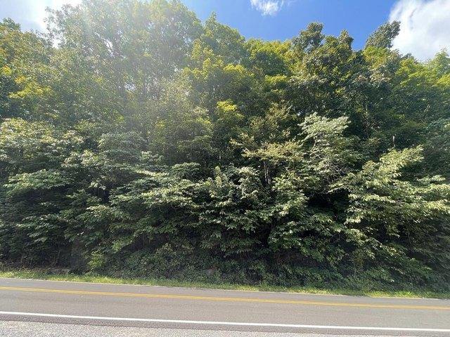 Land for sale in Lebanon, Russell County